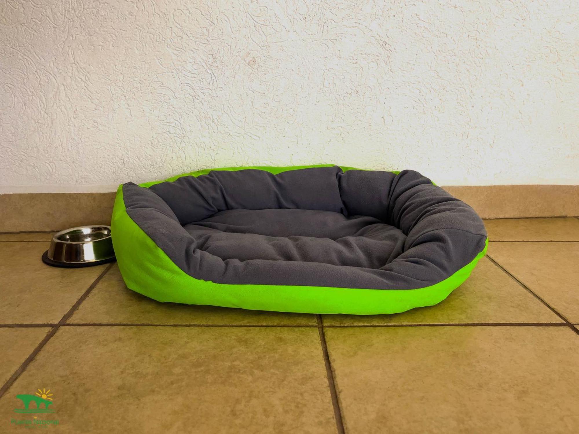 Deluxe Twin Room Pet Friendly Room